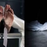 मौसेरा ससुर,