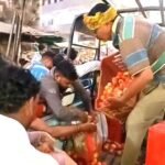 औंधे मुंह गिरे टमाटर