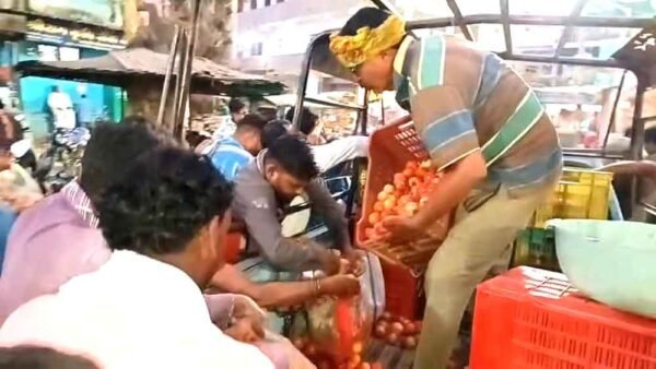 औंधे मुंह गिरे टमाटर