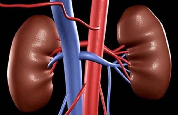 किडनी डिजीज के मामले भारत में