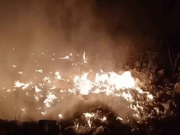 पार्क में कचरा जमा होने की वजह से