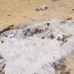 दादा ने अपने