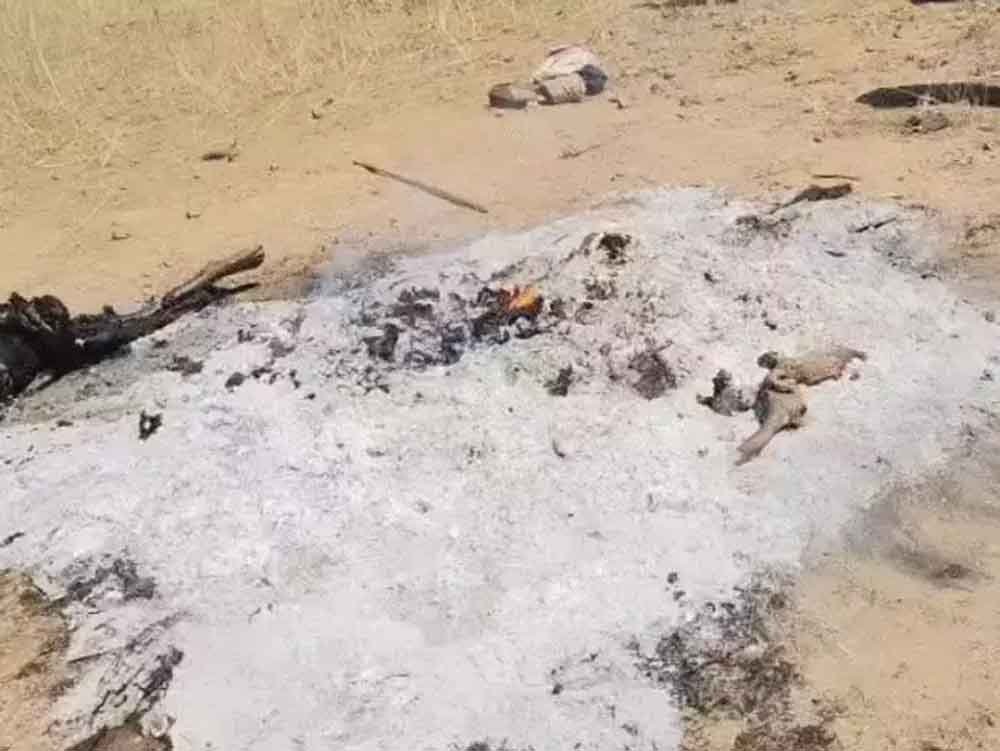 दादा ने अपने