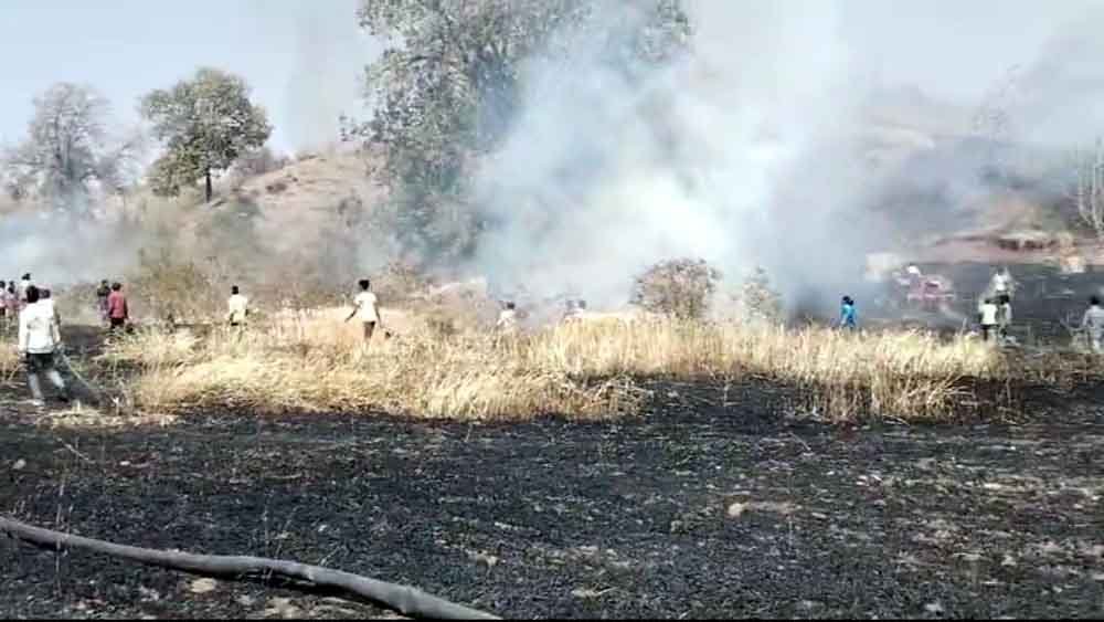 आग से गेहूं की फसल जलकर