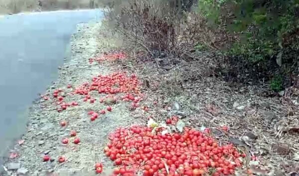 कीमत नहीं मिलने पर किसान