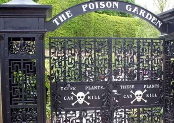 सबसे जहरीला बगीचा, सांस लेते ही