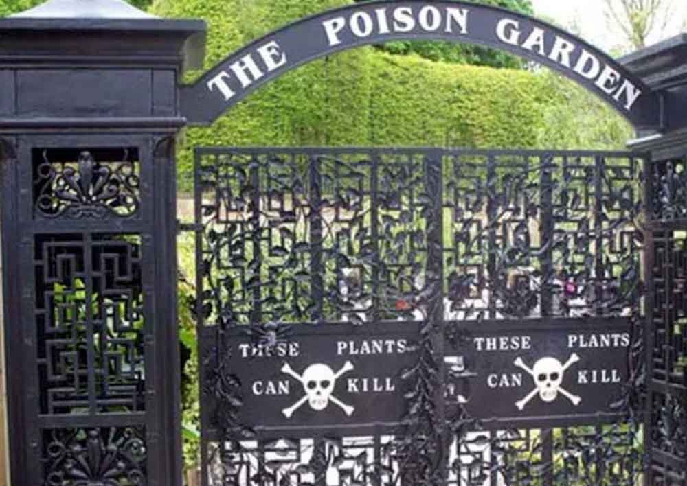 सबसे जहरीला बगीचा, सांस लेते ही