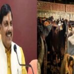 कैबिनेट की बड़ी सौगात: निराश्रित