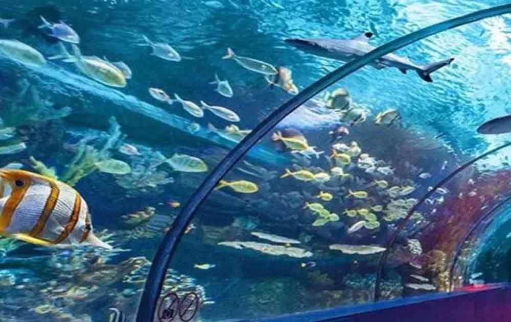 प्रदेश का पहला