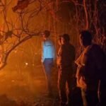 पचमढ़ी के बीफॉल क्षेत्र में लगी भीषण