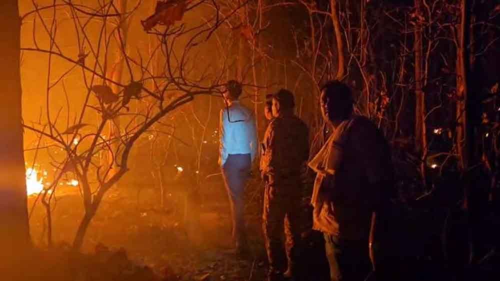 पचमढ़ी के बीफॉल क्षेत्र में लगी भीषण