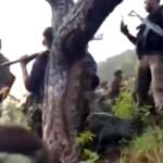 सुरक्षाबलों की बड़ी कार्रवाई: 27