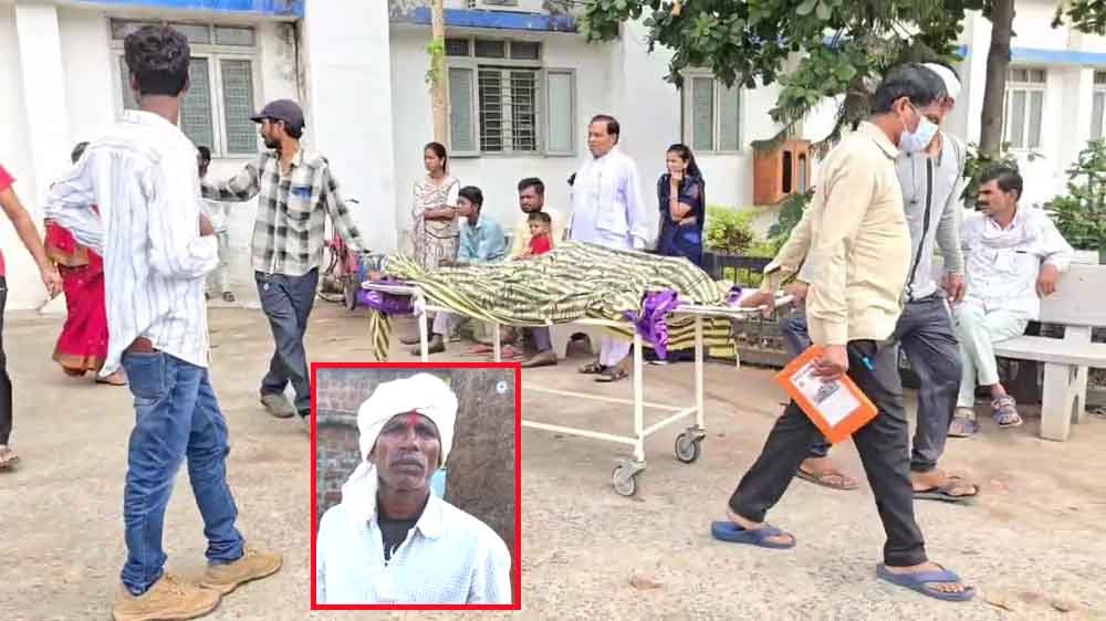 किसान को कोबरा