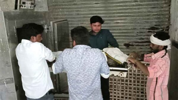 भांजे की सगाई में