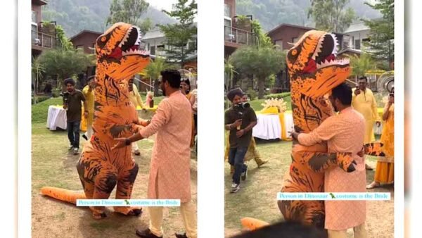 डायनासोर बनकर हल्दी में पहुंची दुल्हन