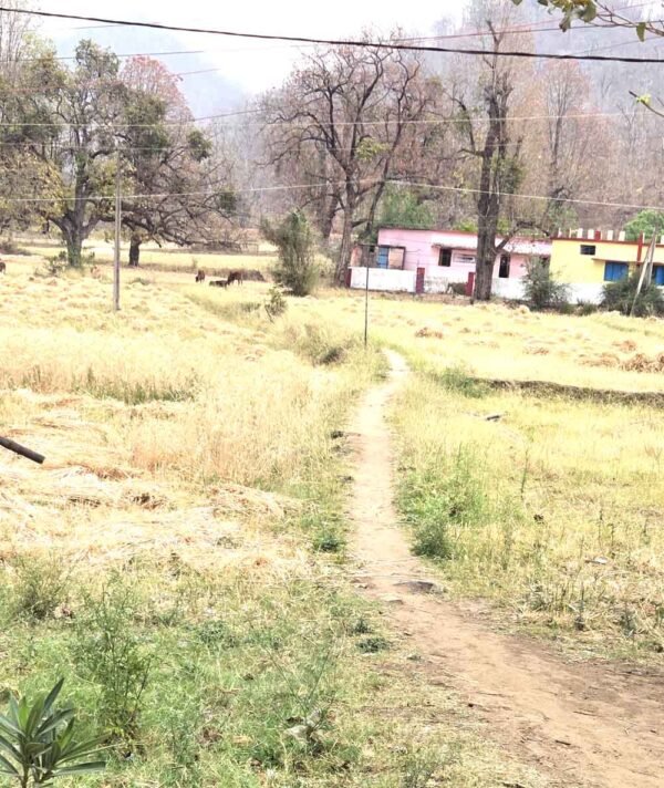 डेढ़ फीट की पगडंडी से स्कूल जाने