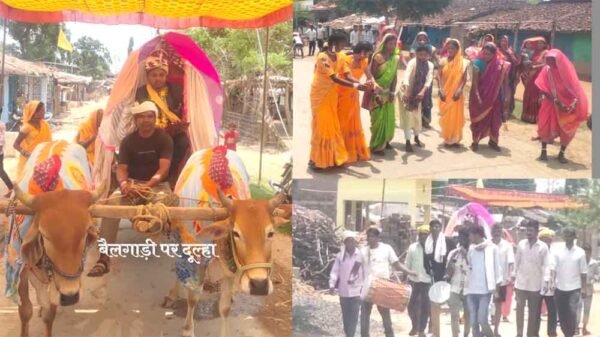 बैलगाड़ी से निकली बारात, 51 हजार में