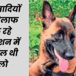 माओवादी विरोधी अभियान में