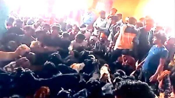 ठाकुर बाबा मंदिर पर 300 बकरों की बलि