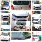 मानसिक रोगी ने तोड़े