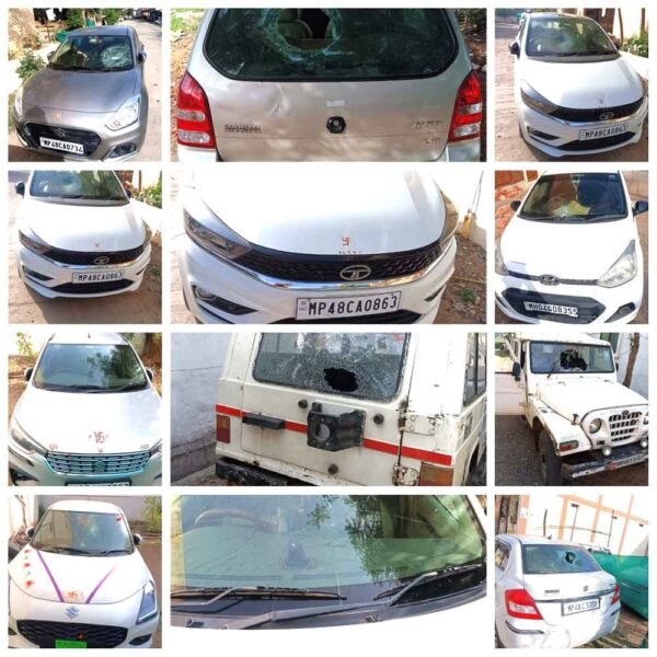 मानसिक रोगी ने तोड़े