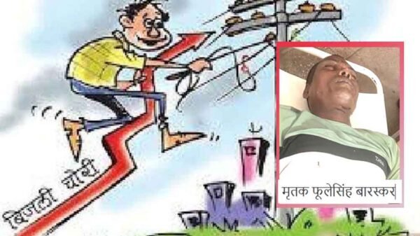 चोरी की बिजली से करंट लगने से हुई थी