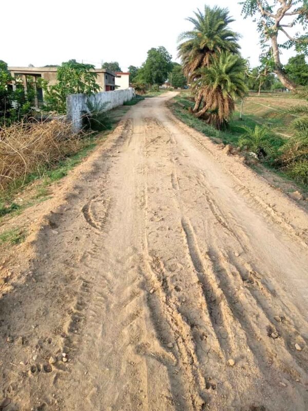सीमेंट रोड पर मिट्टी
