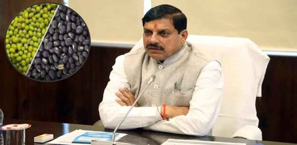 मध्यप्रदेश में मूंग और उड़द की सरकारी