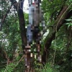 रेलवे लाइन के पास