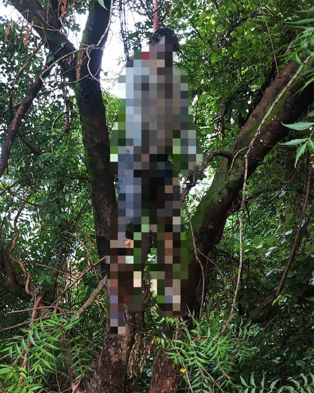 रेलवे लाइन के पास