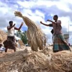 भारत ने बांग्लादेश से जूट इंपोर्ट पर लगाई