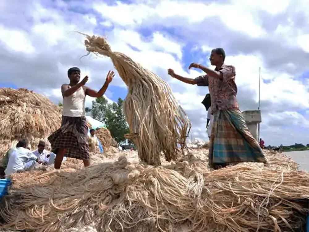 भारत ने बांग्लादेश से जूट इंपोर्ट पर लगाई