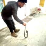 जिपं में कुर्सी के नीचे