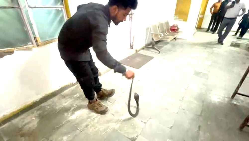 जिपं में कुर्सी के नीचे