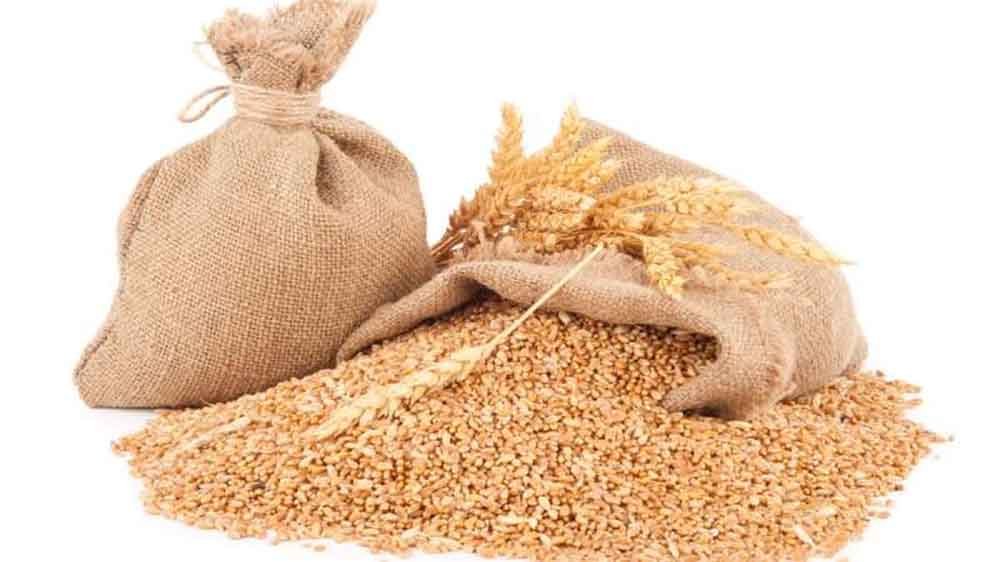 चावल से ज्यादा मिलेगा गेहूं, इसलिए लिया