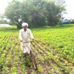 90 की उम्र में भी खेत जोत रहे अमर