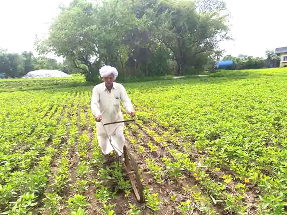 90 की उम्र में भी खेत जोत रहे अमर