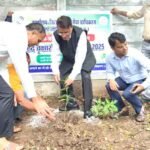 पर्यावरण संरक्षण के तहत लगाए गए 80 पौधे,