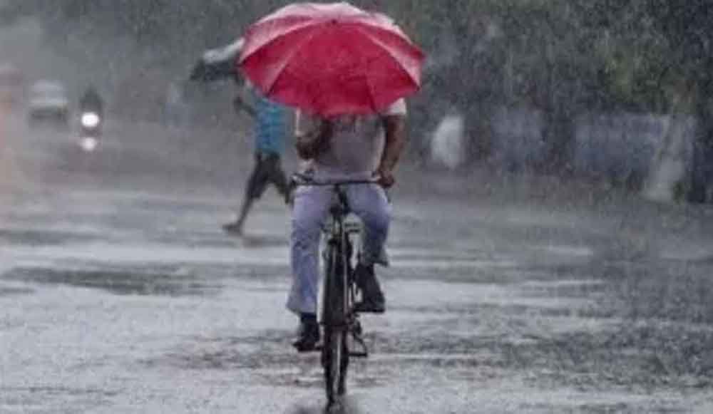 मध्यप्रदेश में तेज बारिश का कहर: 14