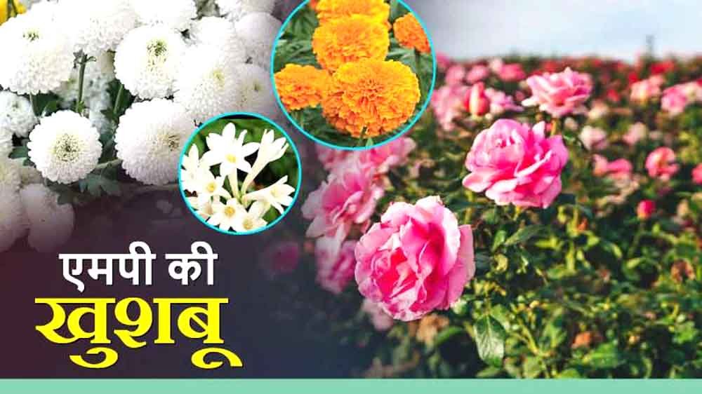 परंपरा से नवाचार की ओर, फूलों की