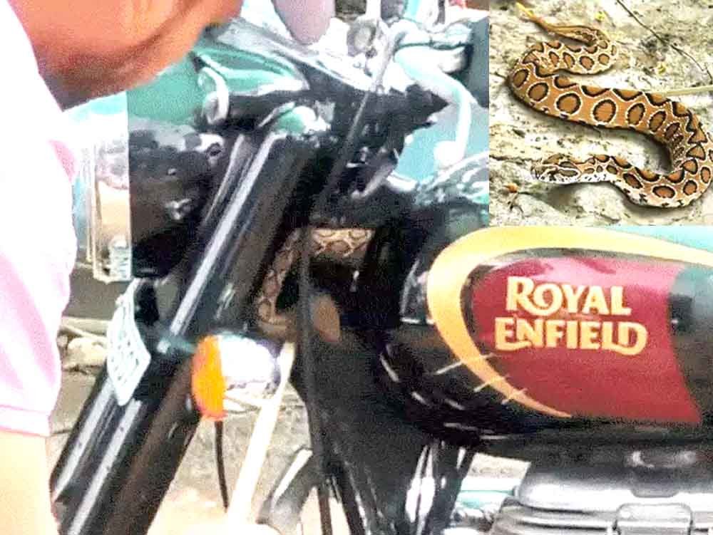 बाइक में छिपा था ज़हरीला रसेल