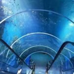 भोपाल में बनेगा आधुनिक मछलीघर: