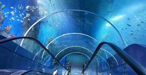 भोपाल में बनेगा आधुनिक मछलीघर: