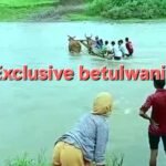 उफनती नदी में गर्भवती को बैलगाड़ी