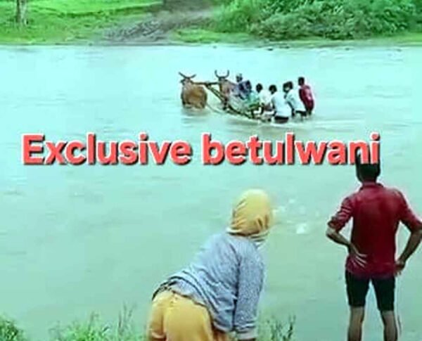 उफनती नदी में गर्भवती को बैलगाड़ी