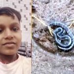 सोते समय सांप के डसने से 10 वर्षीय बालक