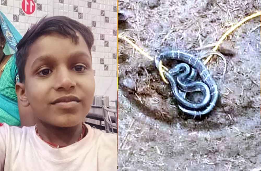 सोते समय सांप के डसने से 10 वर्षीय बालक