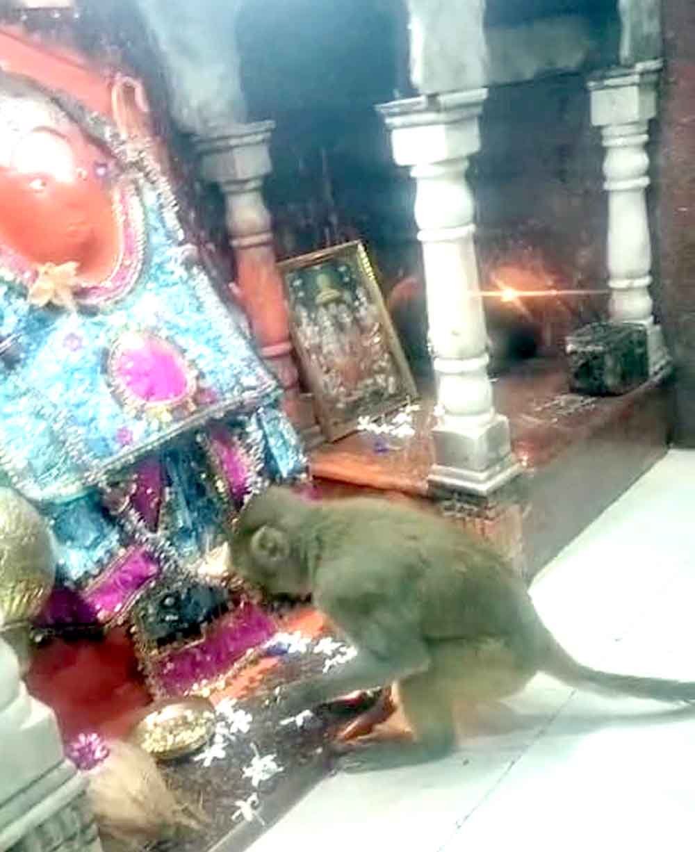 सोनाघाटी हनुमान मंदिर से आया चमत्कारी