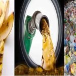 वैज्ञानिकों की अनोखी खोज: केले के छिलके