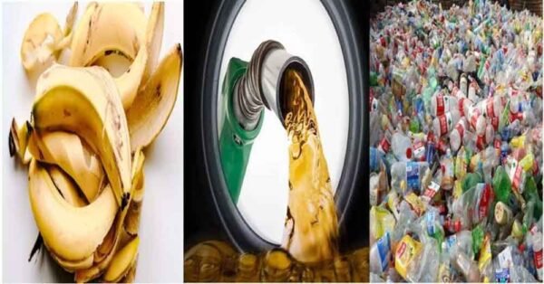 वैज्ञानिकों की अनोखी खोज: केले के छिलके